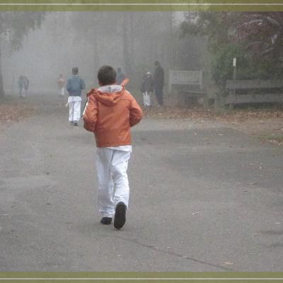 Comp Img 9195